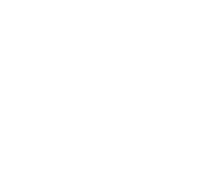 BTR SERVICES